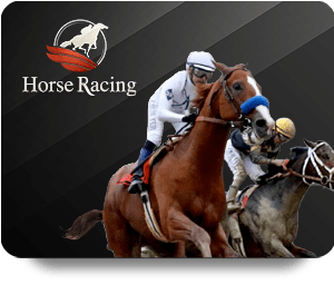 Exploring the Different Variants of Poker Online Available Today